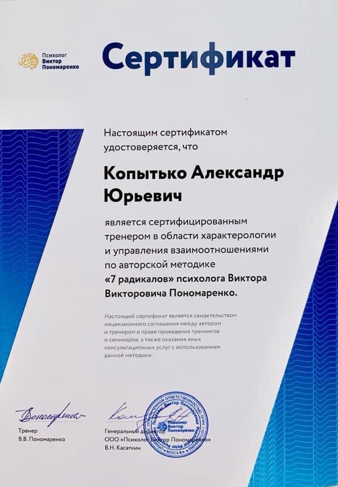 Сертификат Александр Копытько